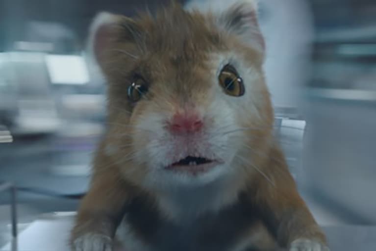 New Baby Hamster Pitches Kias Grown-Up Soul Turbo 